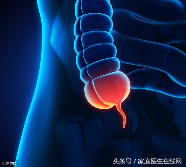 阑尾发炎痛不欲生,但它却有这些功能,还是不要随意切除