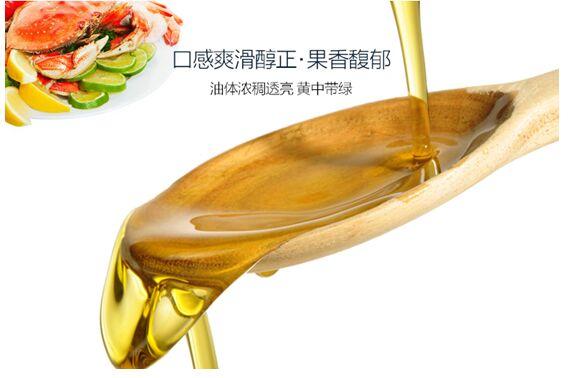 同样是橄榄油，价格居然相差那么大！榄蒂告诉你选购技巧