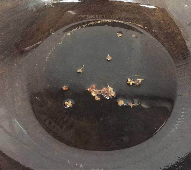 教你做黄豆芽炒粉条,地地道道的农家菜,做法简单,好吃接地气!