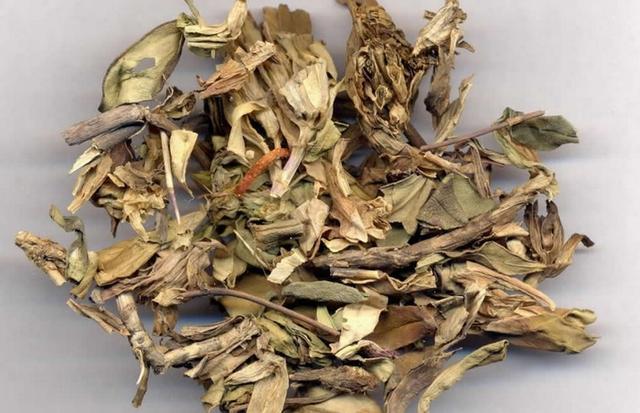 耳鸣怎么办?中医教你5招防治耳鸣!