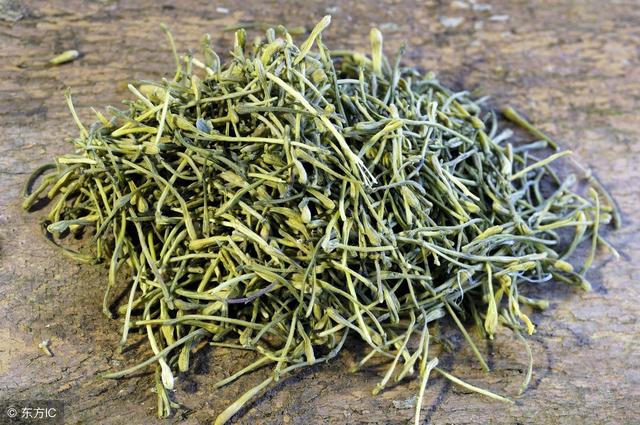 金银花泡水喝,好处多多,但这5大禁忌也得谨记在心