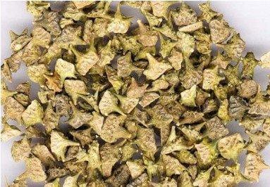 身上皮肤瘙痒怎么回事，别不当回事，那会要了你的命