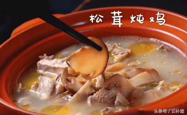 松茸吃法大全,松茸做法大全,全部在这里,收藏吧