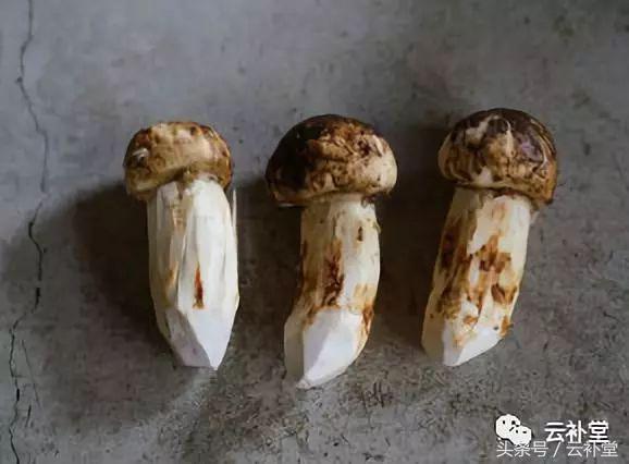 松茸吃法大全,松茸做法大全,全部在这里,收藏吧