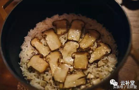松茸吃法大全,松茸做法大全,全部在这里,收藏吧