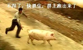 QQ营销技巧与方法 QQ营销技巧