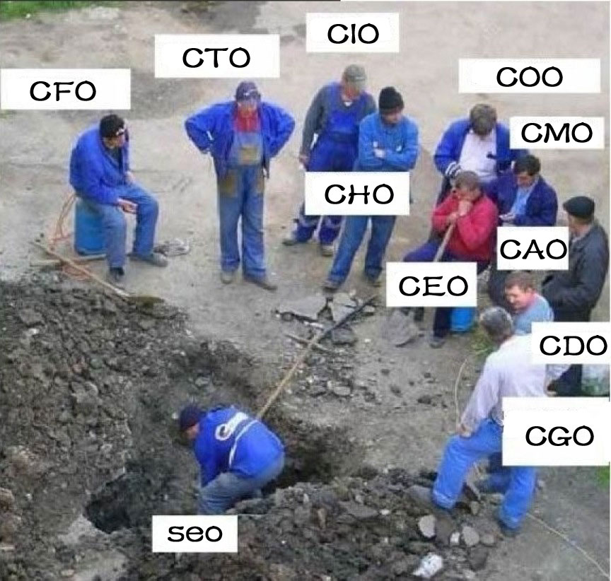 CEO结构图