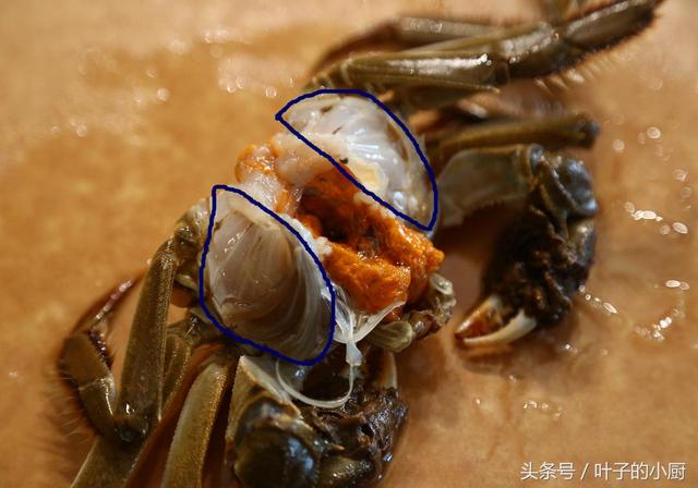 18步详解香辣蟹正宗做法,香得能吃下3碗饭!