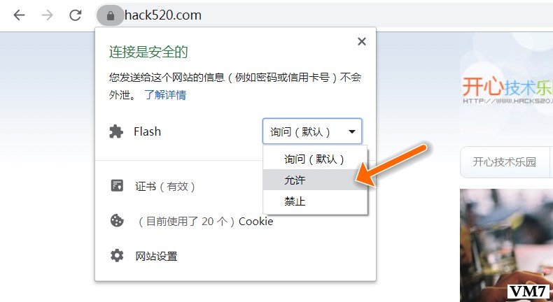  Chrome 允许 Flash