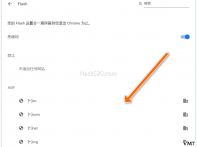 真正解决 Chrome Flash 插件开启所有问题，亲测完美！