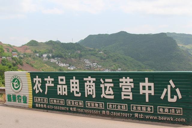 农村电商现状:5倍的物流成本,4万多个企业,95%一直在亏损