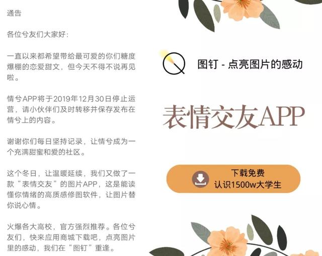 阿里上线「图钉」,布局图片交友