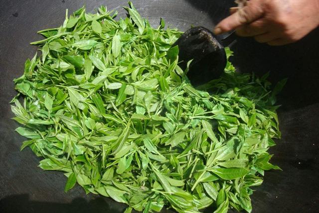标价2万元的普通茶叶,一年卖出500万!揭秘背后的套路