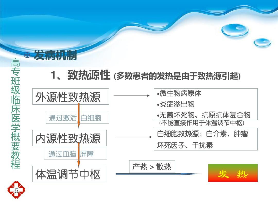 临床医学概要ppt课件