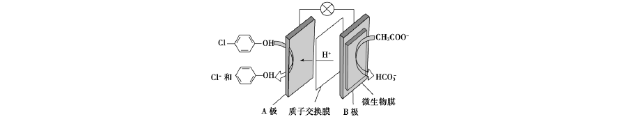 化学高二上学期电化学学生版