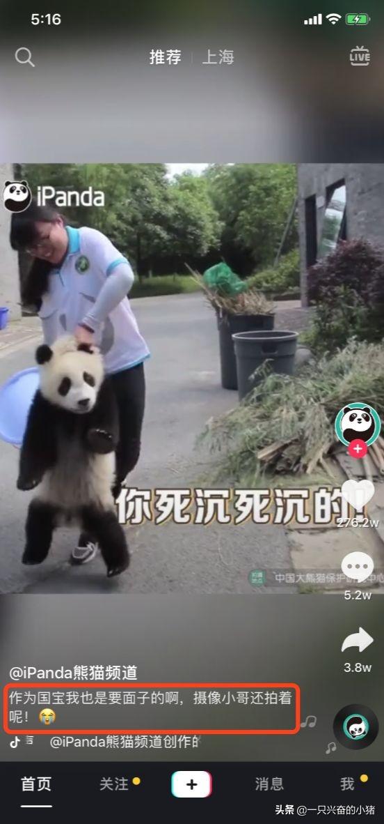 抖音文案用点小套路,帮你的网红之路加满buff(上)