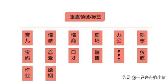 抖音标签有什么作用？一文搞懂