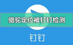 骆驼定位被钉钉检测怎么办_骆驼定位被钉钉检测的解决方法