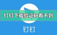 钉钉下载app验证码看不到刷不出来的解决方法