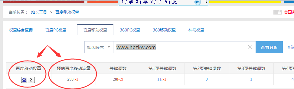 网站分析