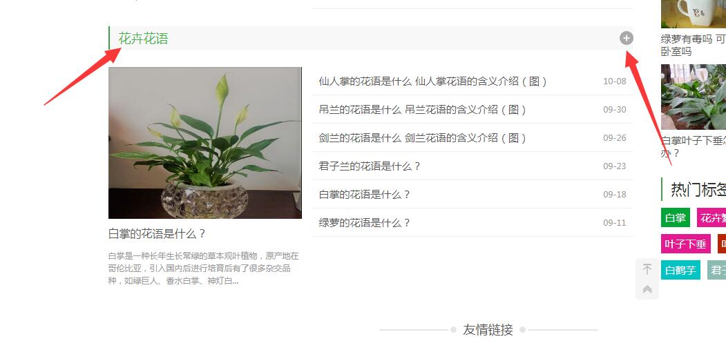 QQ截图20171013172740