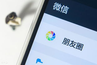 图片12