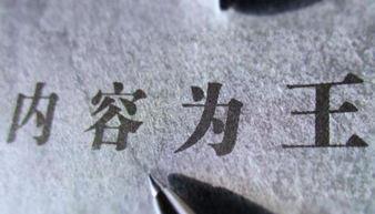 图片13