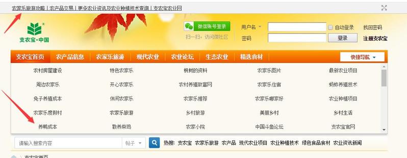 QQ截图20191028135443