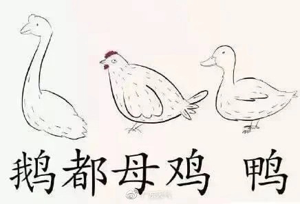 微信图片_20191203101639