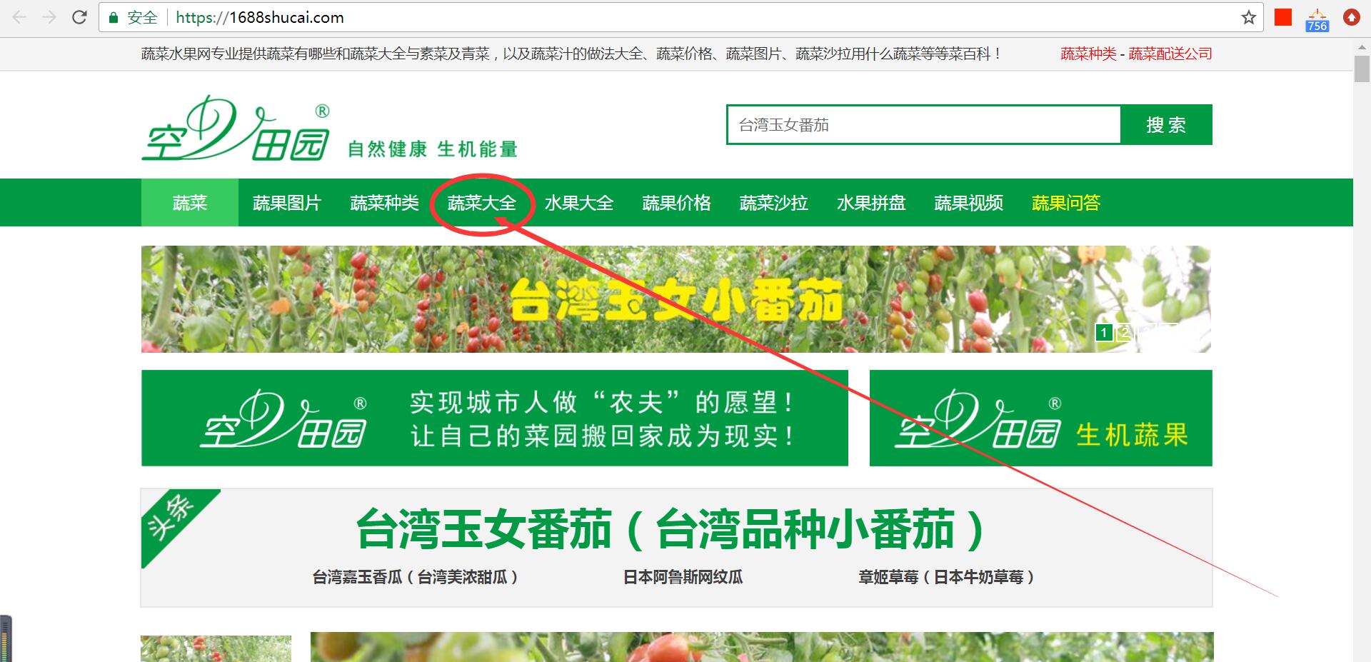 QQ截图20180703085427