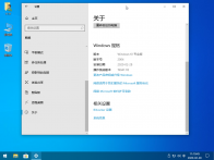 Windows 10 20H1 Build 19041.113 官方提取版ISO镜像