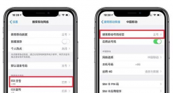 iPhone给sim卡修改名称方法