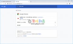 谷歌浏览器(Google Chrome)v80.0.3987.149 便携增强版