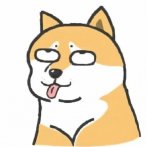 神仙颜值的狗子