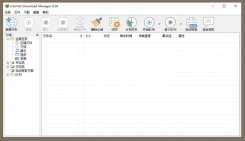 Internet Download Manager 6.37.8 Beta 绿色多线程下载软件