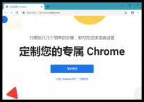 谷歌浏览器 v81.0.Chrome 浏览器整洁且直观 正式版