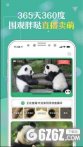 熊猫频道app下载_熊猫频道app安卓版