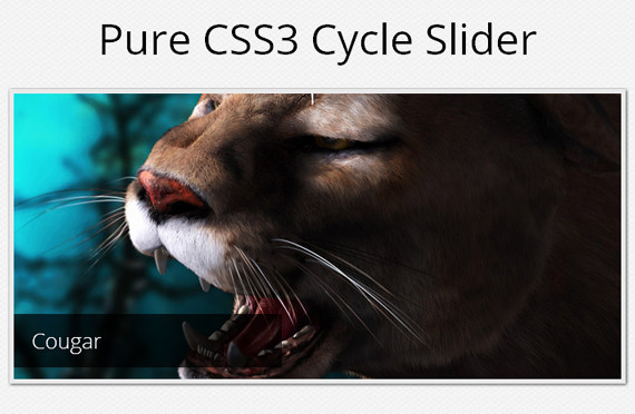 css3tutorials24