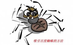 网站更新大量内容但没有排名是什么原因