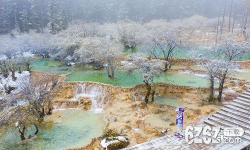 天刀手游与原神对比