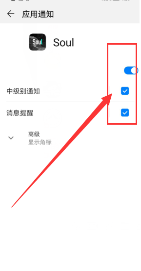 Soul消息提醒看不到怎么办 Soul消息提醒设置教程