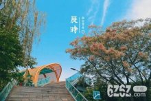 辰时出生的人性格如何 辰时出生的人好不好