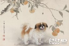 7月生肖狗能贵人相助吗 2021年生肖狗运势