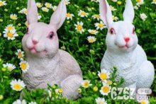 属兔人2022年运势运程每月运程 生肖兔感情事业健康运势