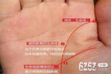 怎么看手相?看手相的三大主线解析